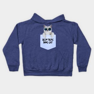 Been There Done Cat, Cool Cat, Cat Meme Kids Hoodie